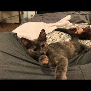 Meet your Posher, Bree